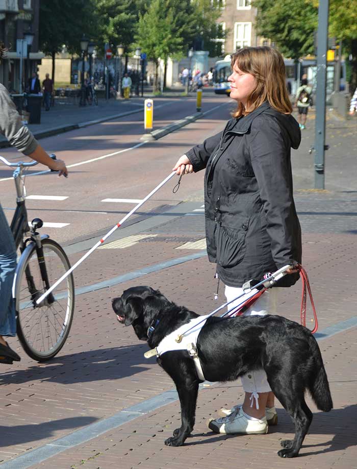 kngf geleidehond melanie wilou witte stok02