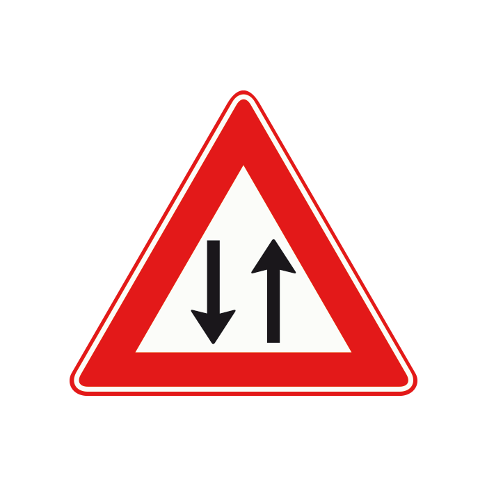 j29