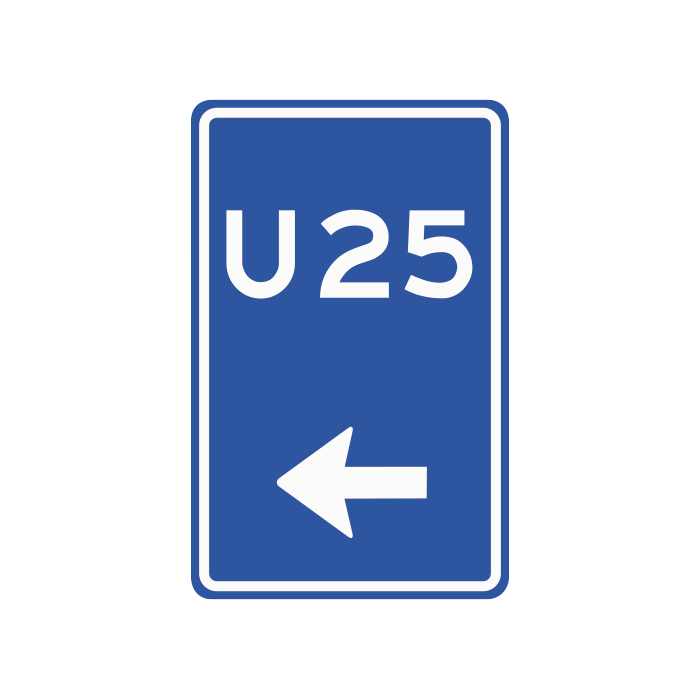 bw207