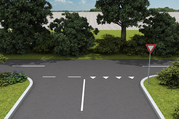 Verkeerstekens op het wegdek - iTheorie